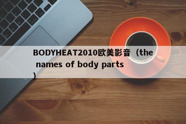 BODYHEAT2010欧美影音（the names of body parts）