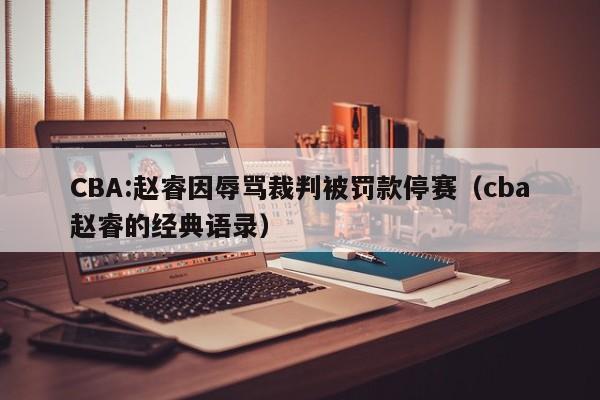 CBA:赵睿因辱骂裁判被罚款停赛（cba赵睿的经典语录）
